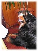 �x���K���N