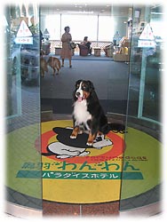 �����Z���T�[�ŏ���ɊJ����B