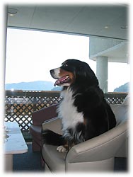 �\�t�@�[�ł��낰���B