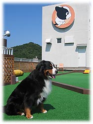 �΁[�Ɂ[�A�ЂƂ�ڂ����H