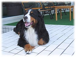 休憩もしなくっちゃね。。。