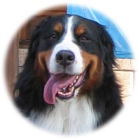 �΁[�Ɂ[�A�Q�x�ڂ̒��H�ł��B