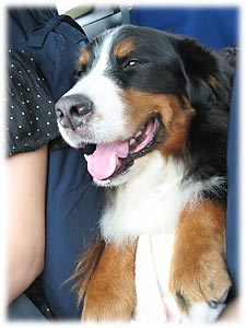 �����A������ς`�I