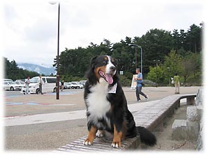 �����q�ő҂��Ă��B