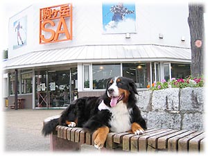 �h���C�u�ɋx�e�͑�؂���B