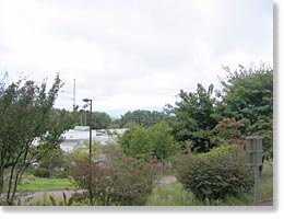 ��P�x�r�D�`