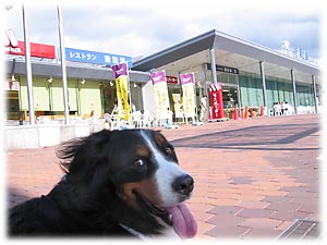 ��������ˁA���A�ő҂��Ă�񂾂�B