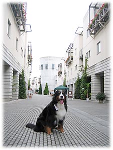 �s�[�}���ʂ�A�������������B