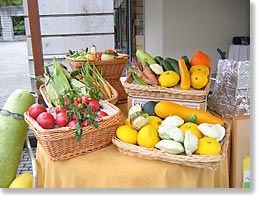 �F�Ƃ�ǂ�̖�؂���