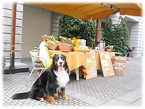 ���킢������L�O�B�e�I