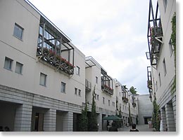 ���W�f���X��