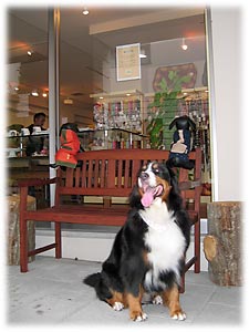 ����A�����Ă��������B