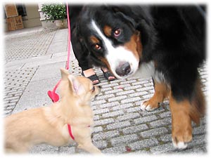 �w����ɂ����`�I���킢���`��������񂾂�B�x