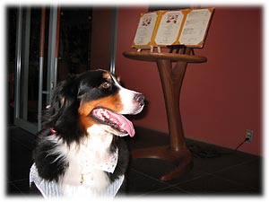 案内されるまで待っててね。