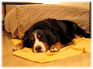 �y�y�y�E�E�E�B