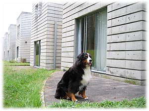 �C���������`�I