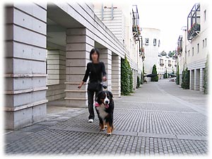 ���C�n�c���c�`�I�΁[�Ɂ[�A���C�I