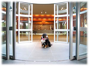 ����ɂ����I