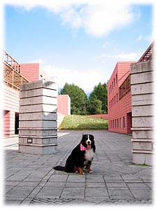 ���]�i�[���ɂāB