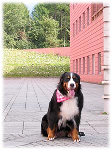 �����͂������V�C�I