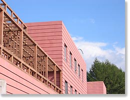 �����͐�I