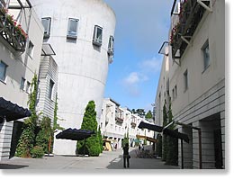 �s�[�}���ʂ�