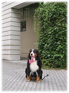 �������̓�����ł��B