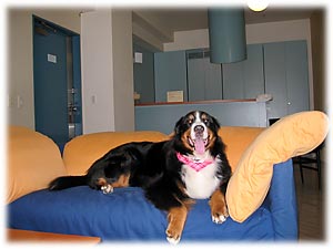 ���͊y�����ˁB