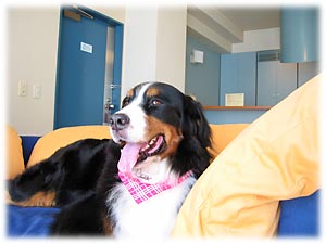 ���������т�����������B