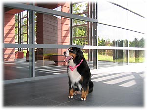 �J�����ڐ��A�ł��܂��`�I