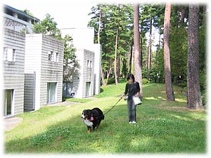 ���U�����y������B