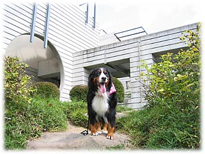 �K�i����`�I