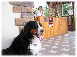 では、行ってきま〜す。