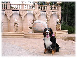 大きな球体がごろんごろん!