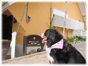 抱いて入ってよ〜。