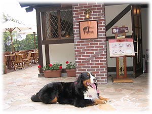 今日はいっぱい歩いたよ!