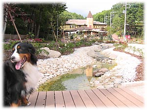 向こうはなにかなぁ。。。