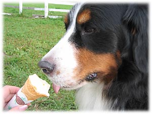 『お誕生日おめでとう!』