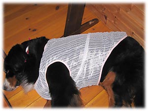 �Ȃ��Ȃ��N���Ȃ�������B