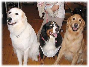 ��낵���`�I