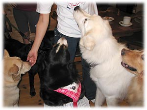 やっぱりおやつだね。やったー!