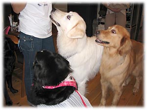 ばーにーも欲しい!