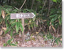 ���U���R�[�X