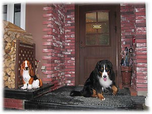 ������������Ł[���I