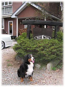 TOUTOU����̑O��