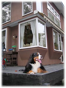 �e���X�ɂāB