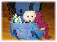 ���ڊo�߁A�悩�����ł����`�H