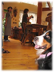 記念撮影、楽しみ〜!