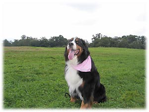 �v���Ԃ�ɑ�������I