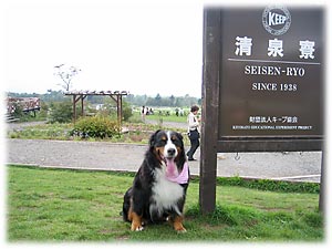 �Ŕ̑O�ŋL�O�B�e�I